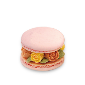 ��̸������ �ʸ��� ¥�� ������� �������ũ����ī��